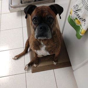 Meet your Posher, Amy